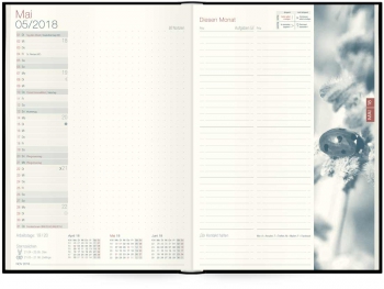 Monatsübersicht: Tageskalender »Organizer Day by Day«