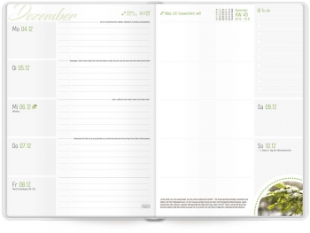 Kalendarium des Häfft-Timers, Kalender 2017/2018