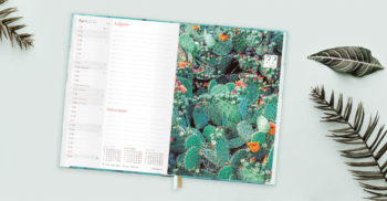 Chäff Timer 2021 2022_Mockup