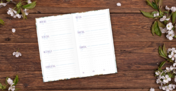 Trendstuff Lieblingstimer slim 2021 2022