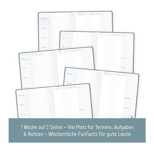 Häfft-Timer Campus 2025/2026 - Studienplaner A5 Mit Magazin