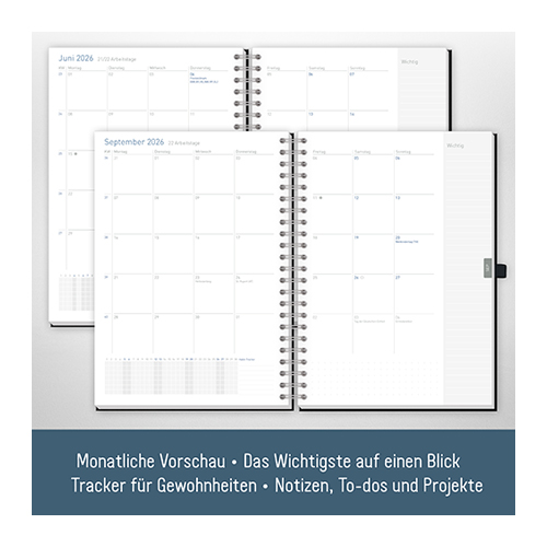 Business-Timer Maxi A4 2026 - Monatsvorschau